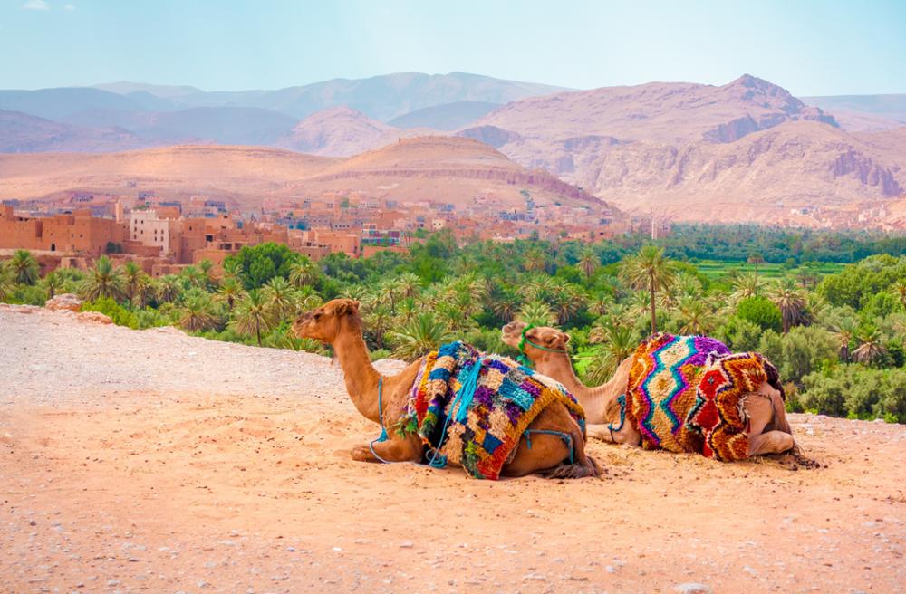 Morocco landscape